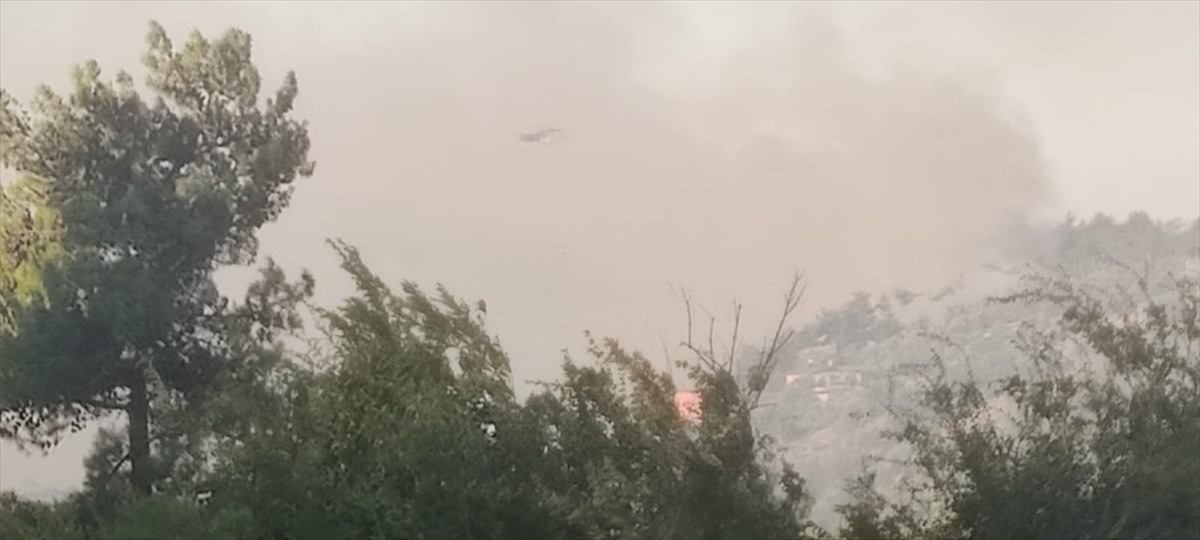 Adana'nın Kozan ilçesinde çıkan orman yangınına karadan ve havadan müdahale ediliyor.
