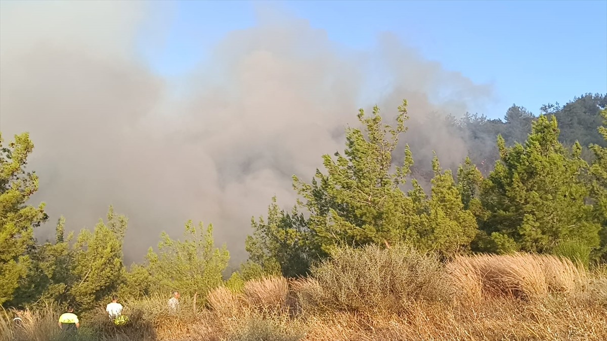 Adana'nın Kozan ilçesinde çıkan orman yangınına karadan ve havadan müdahale ediliyor. 