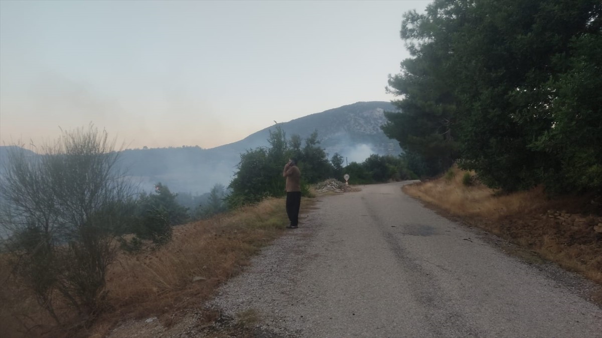Adana'nın Kozan ilçesinde çıkan orman yangınına karadan ve havadan müdahale ediliyor.