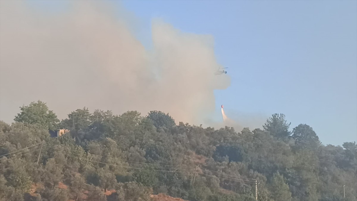 Adana'nın Kozan ilçesinde çıkan orman yangınına karadan ve havadan müdahale ediliyor. 