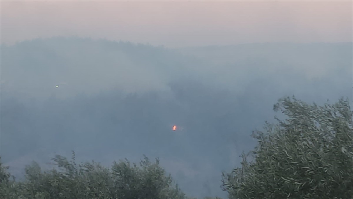 Adana'nın Kozan ilçesinde çıkan orman yangınına karadan ve havadan müdahale ediliyor.