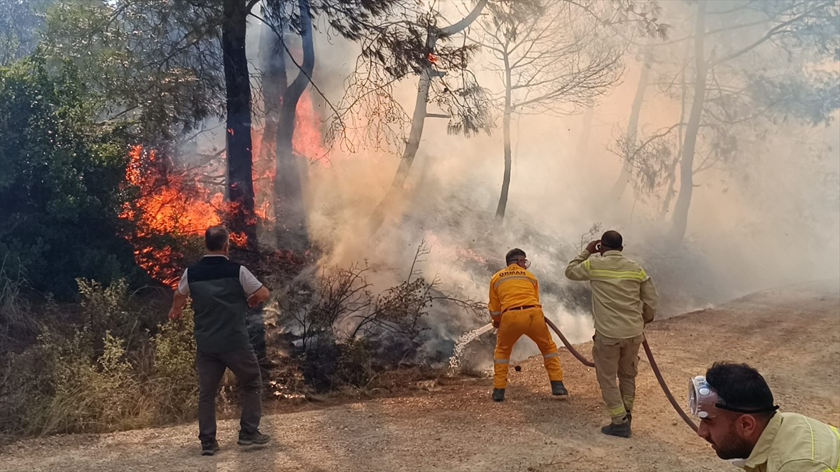 Adana'nın Kozan ilçesinde çıkan orman yangınına, Orman Bölge Müdürlüğü ekipleri tarafından karadan...