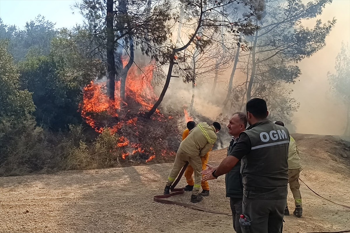 Adana'nın Kozan ilçesinde çıkan orman yangınına, Orman Bölge Müdürlüğü ekipleri tarafından karadan...
