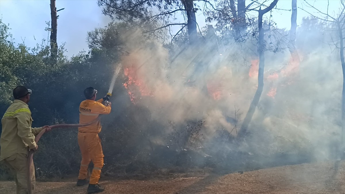Adana'nın Kozan ilçesinde çıkan orman yangınına, Orman Bölge Müdürlüğü ekipleri tarafından karadan...