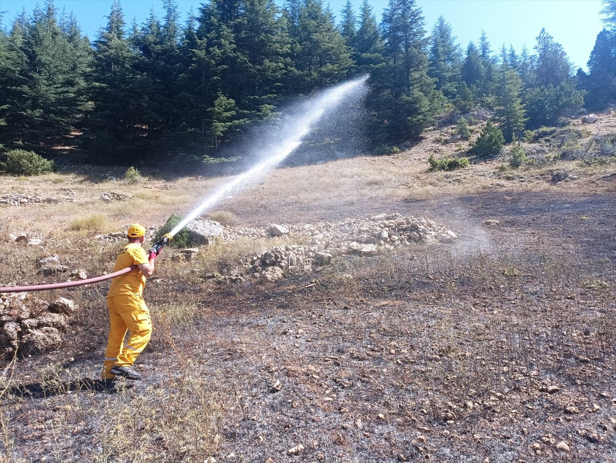 Adana'nın Saimbeyli ilçesinde ormanlık alana sıçrayan anız yangını kontrol altına alındı.