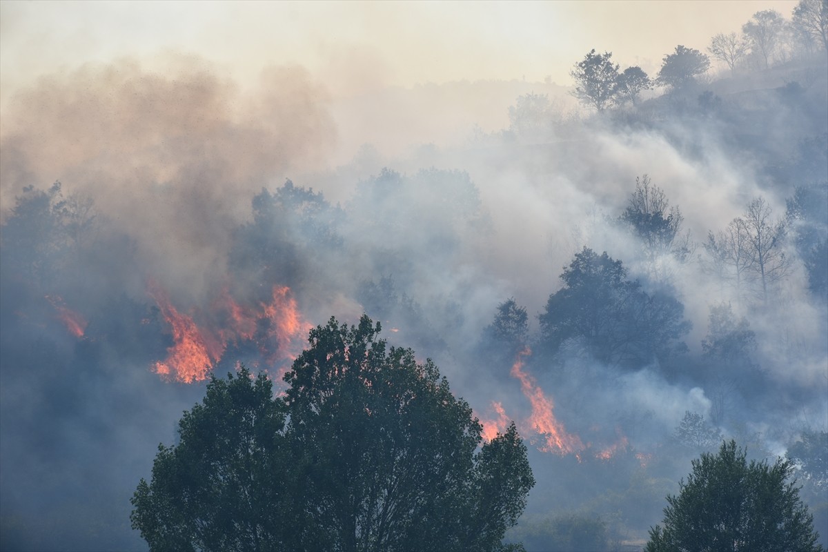Afyonkarahisar'ın Şuhut ilçesinde Koçyatağı köyü Başarap mevkisindeki dağlık bölgede yer alan...