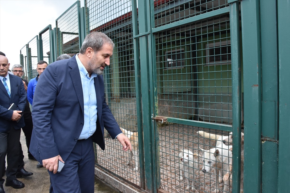 AK Parti Genel Başkan Yardımcısı ve Trabzon Milletvekili Mustafa Şen (fotoğrafta), Büyükşehir...