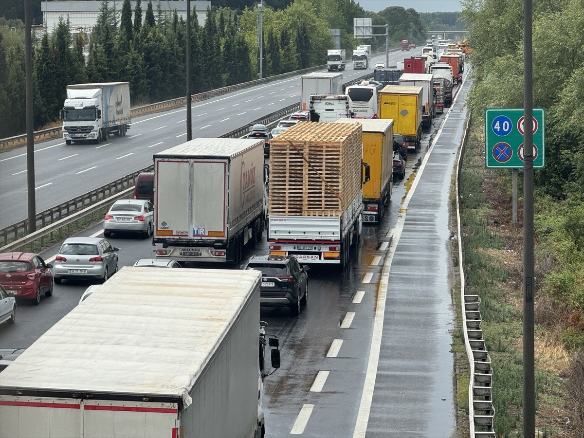 Anadolu Otoyolu'nun Sakarya geçişinde büyükbaş hayvan taşıyan tırın kaza yapması ulaşımda aksamaya...