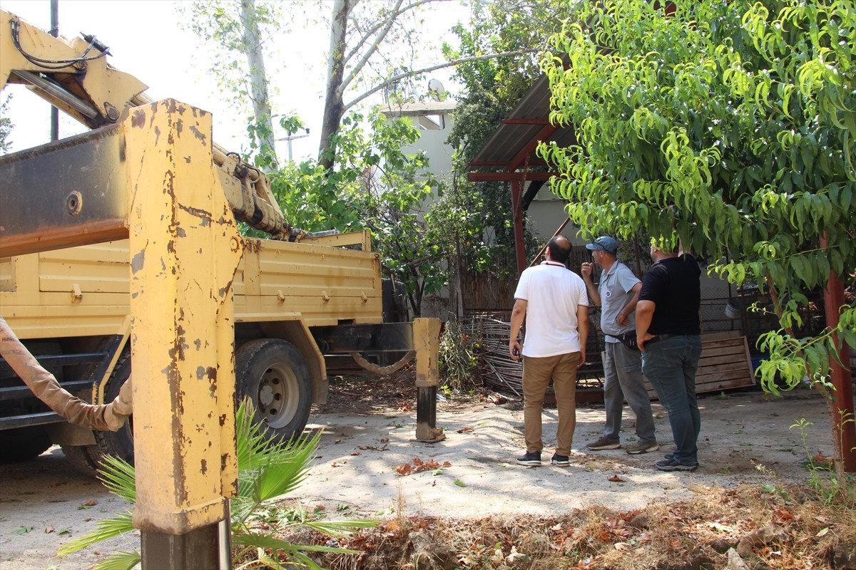 Antalya'da etkili olan sağanak ve fırtına nedeniyle ağaçlar devrildi.