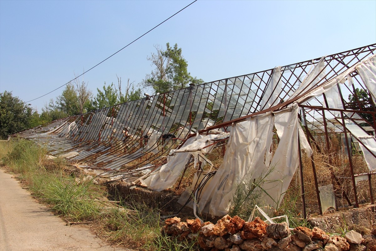Antalya'da etkili olan sağanak ve fırtına nedeniyle ağaçlar devrildi.