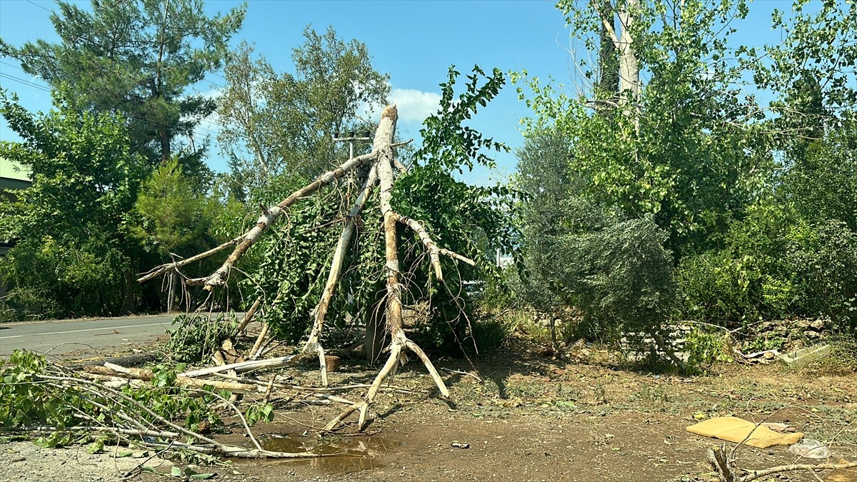 Antalya'da etkili olan sağanak ve fırtına nedeniyle bir caminin minaresi ile ağaçlar devrildi.