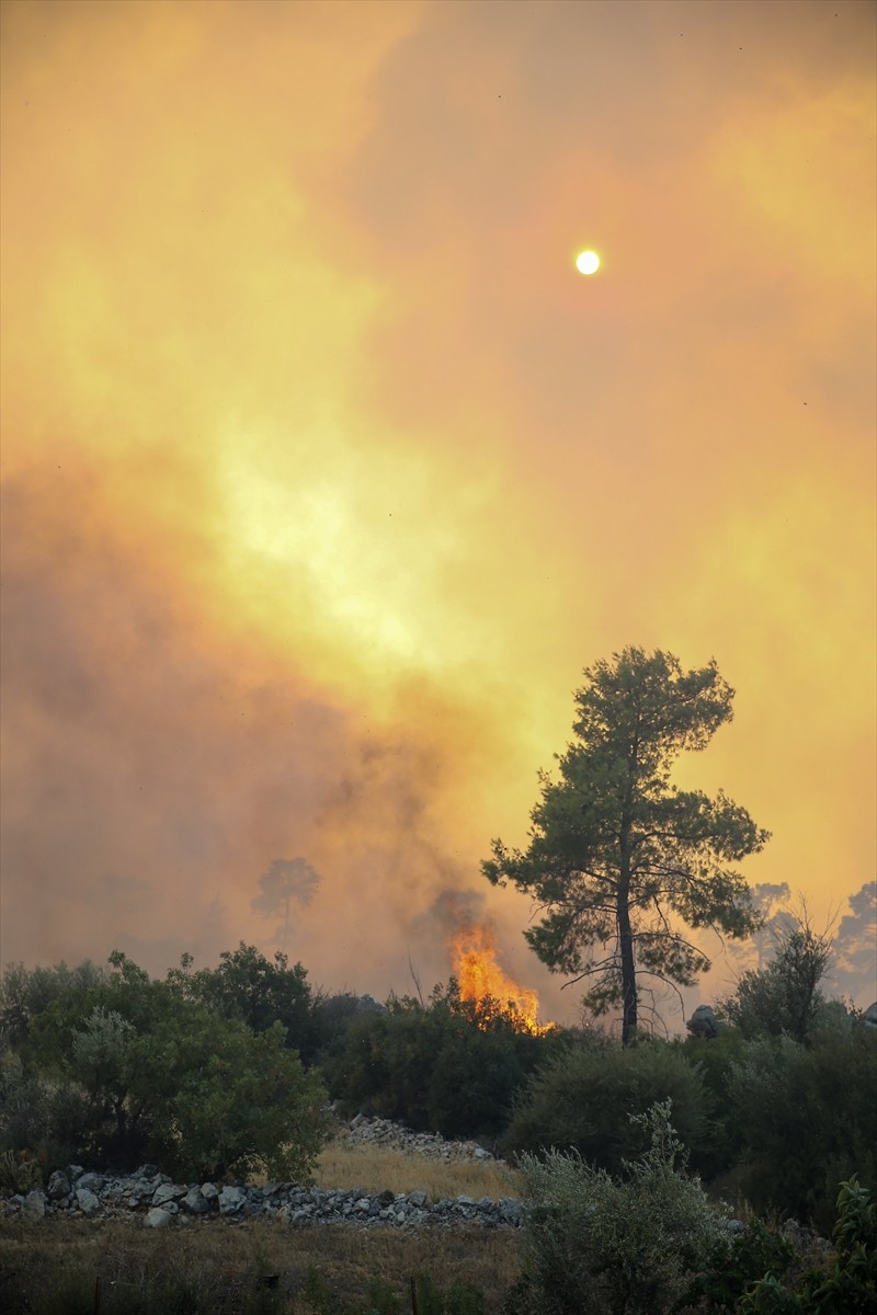 Antalya'nın Serik ilçesinde ormanlık alanda çıkan yangına havadan ve karadan müdahale...