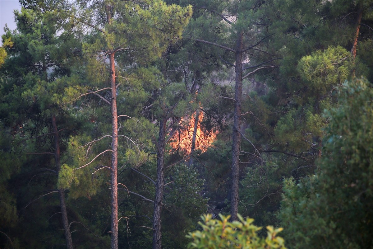 Antalya'nın Serik ilçesinde ormanlık alanda çıkan yangına havadan ve karadan müdahale...