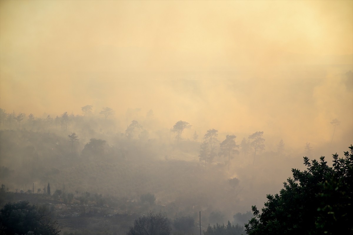 Antalya'nın Serik ilçesinde ormanlık alanda çıkan yangına havadan ve karadan müdahale...