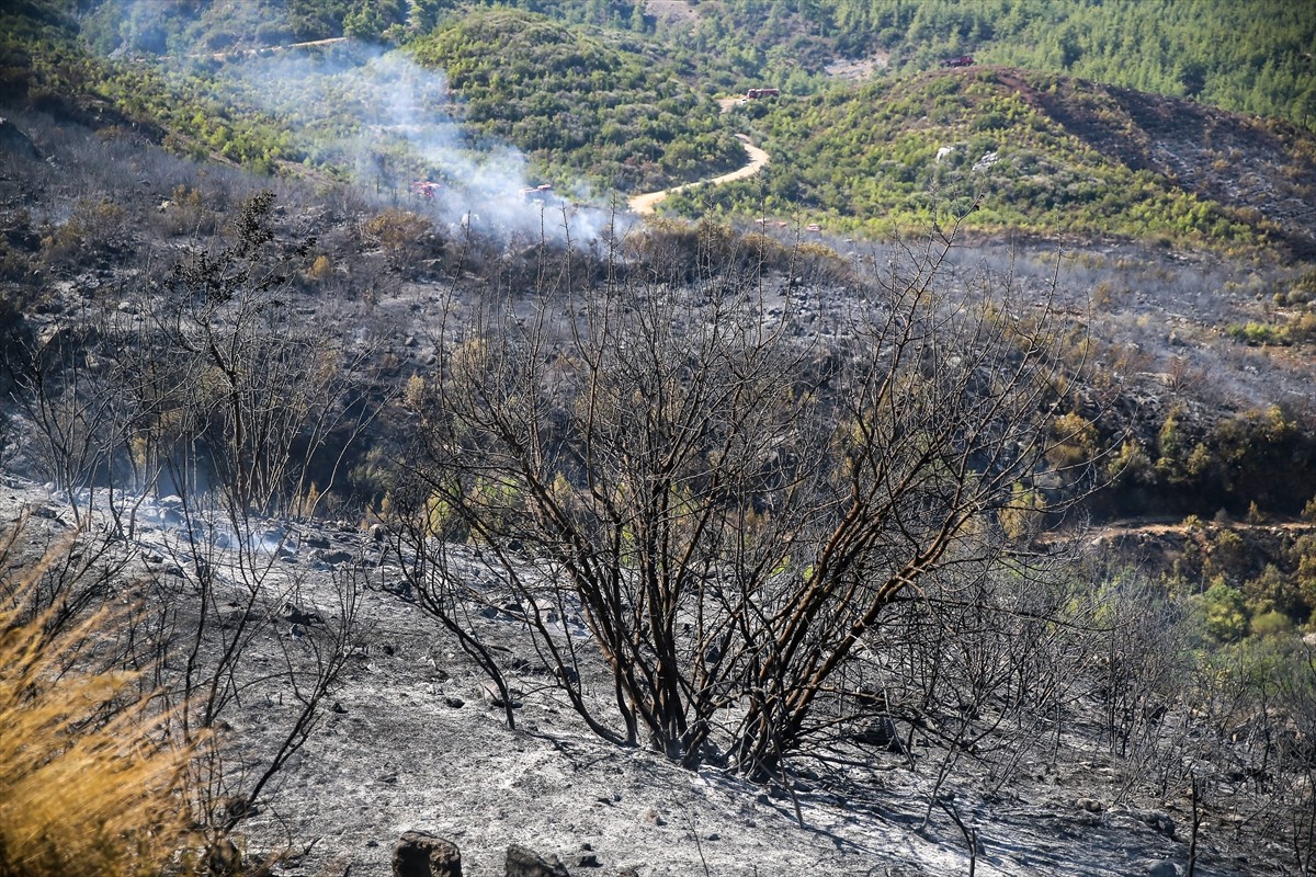 Antalya'nın Serik ilçesinde ormanlık alanda dün çıkan orman yangınını kontrol altına almak için...