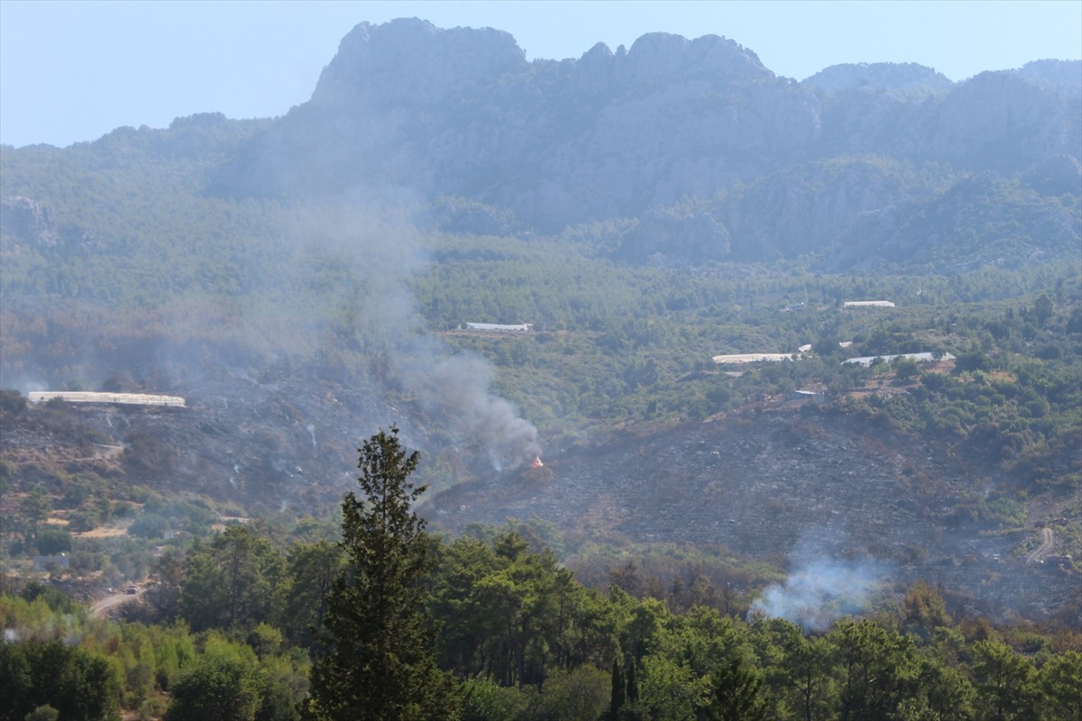 Antalya'nın Serik ilçesinde ormanlık alanda dün çıkan yangın, kontrol altına alındı.