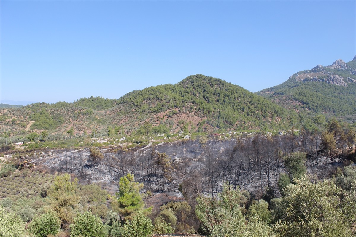 Antalya'nın Serik ilçesinde ormanlık alanda dün çıkan yangın, kontrol altına alındı.