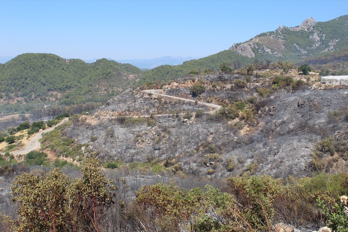 Antalya'nın Serik ilçesinde ormanlık alanda dün çıkan yangın, kontrol altına alındı.