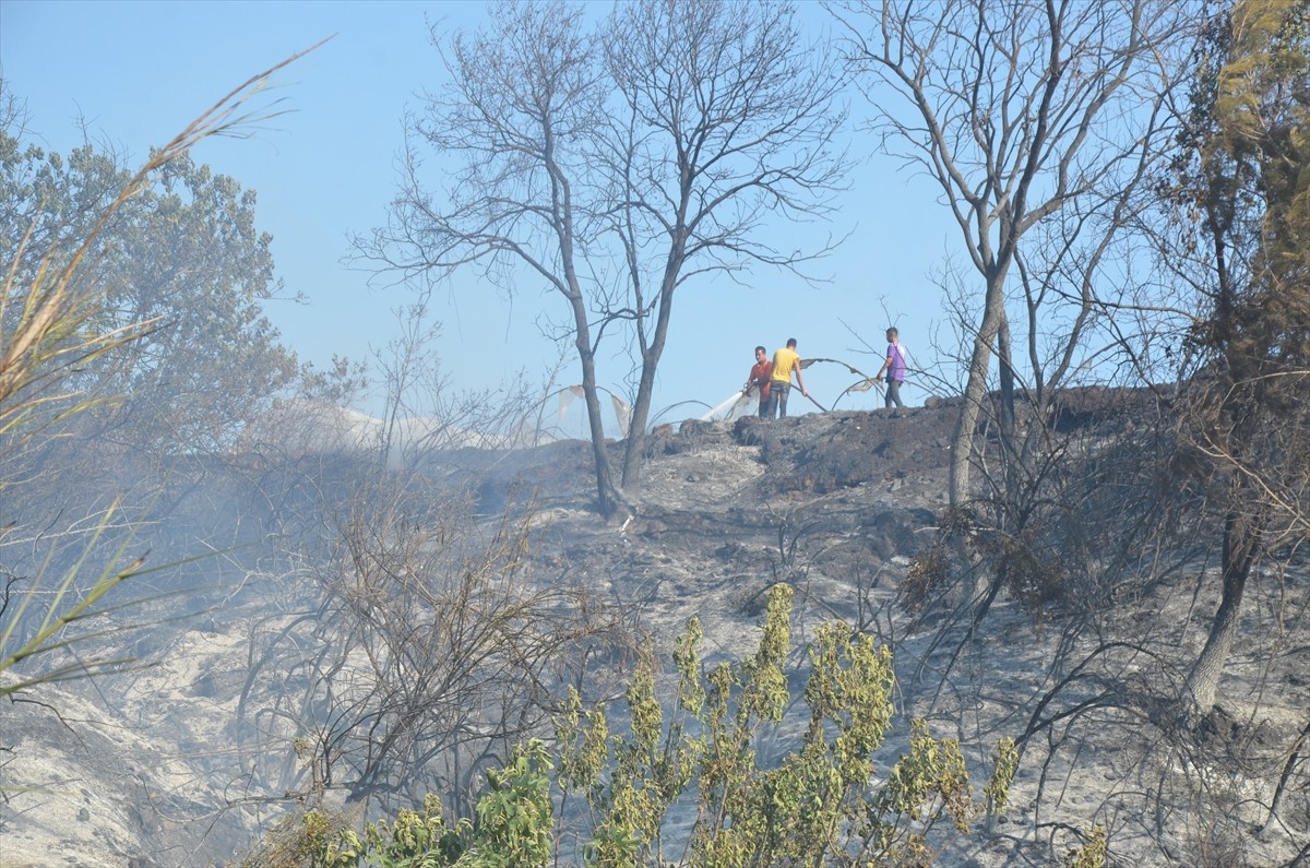 Antalya'nın Serik ilçesinde otluk alanda çıkan ve daha sonra seralar ile ormana sıçrayan yangın...