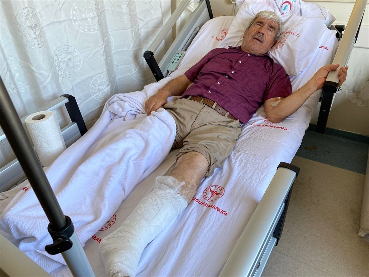 Antalya'nın Serik ilçesinde sahipsiz köpeğin saldırması sonucu 3 tekerlekli elektrikli...