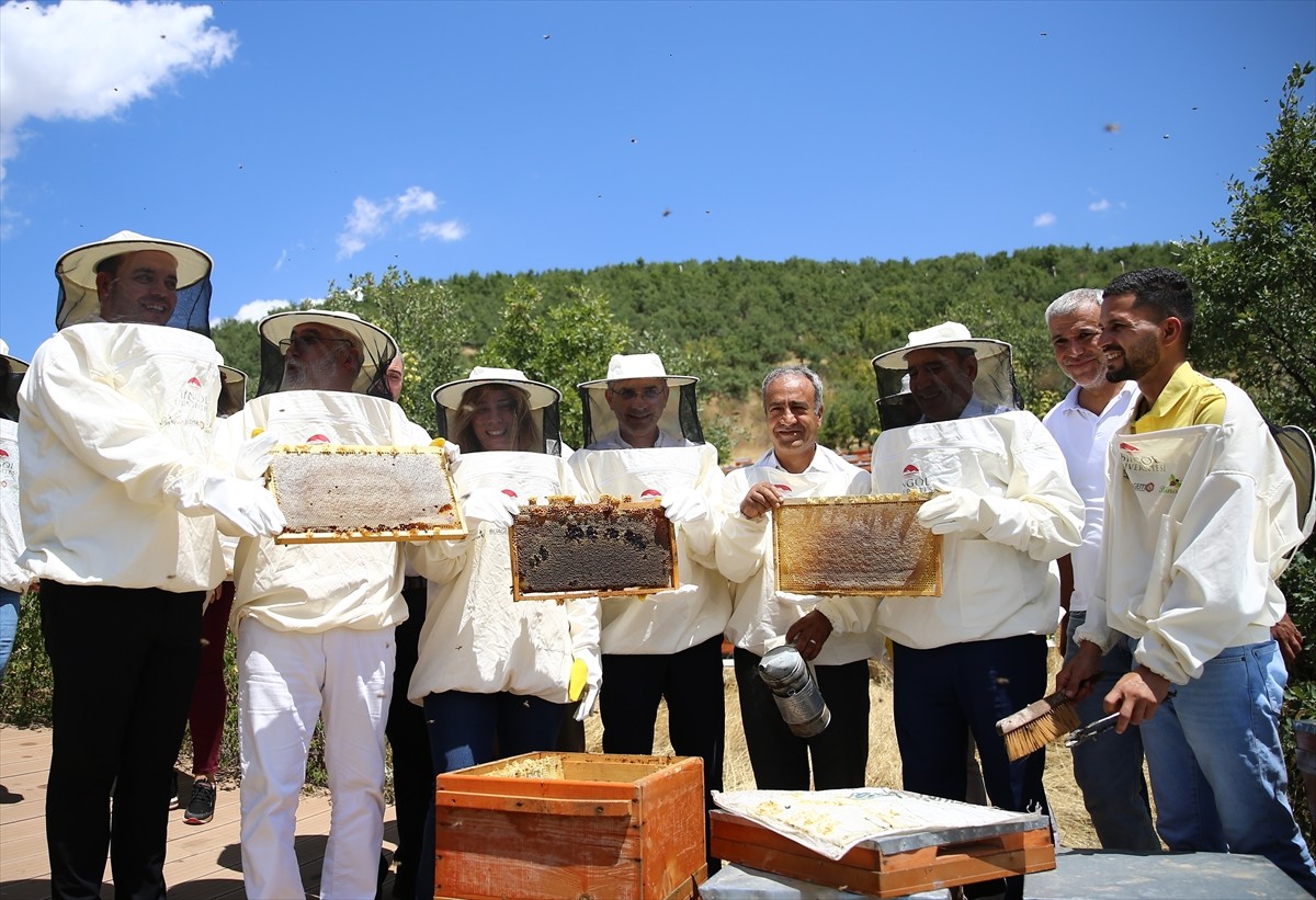 Avrupa Birliği'nden (AB) coğrafi işaret tescili almaya hak kazanan Bingöl balında hasat...