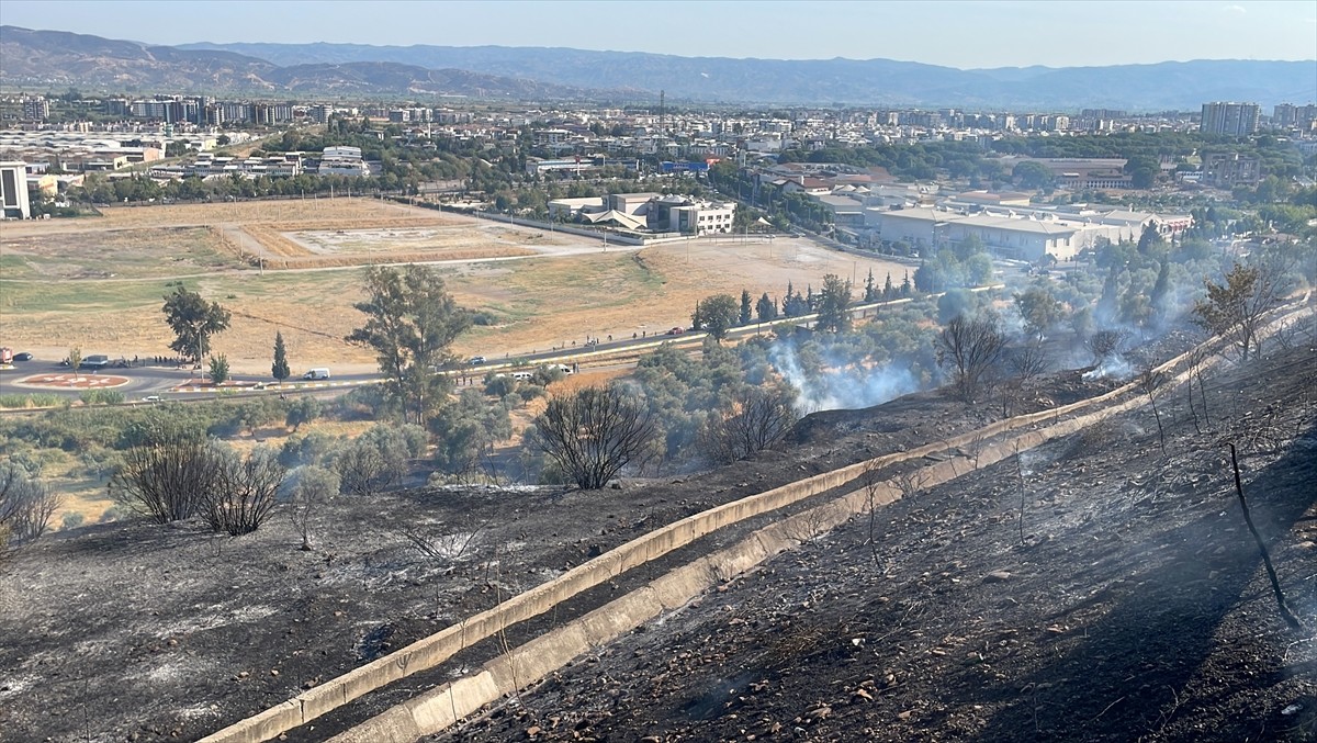 Aydın'da ağaçlık ve otluk alanda çıkan yangın, havadan ve karadan müdahaleyle kontrol altına...