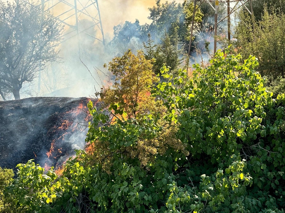 Aydın'da ağaçlık ve otluk alanda çıkan yangın, havadan ve karadan müdahaleyle kontrol altına...