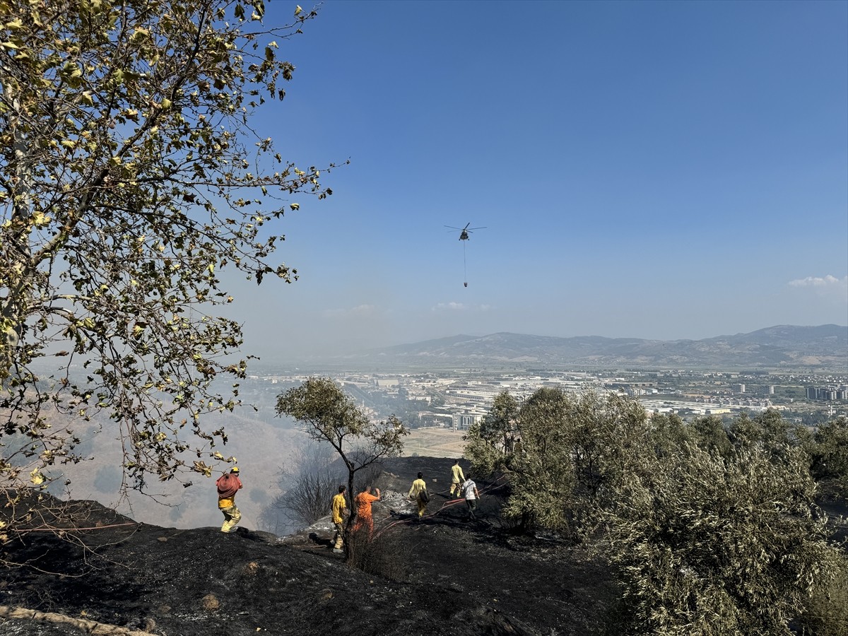 Aydın'da zeytinlik ve otluk alanda çıkan yangın, havadan ve karadan müdahaleyle kontrol altına...