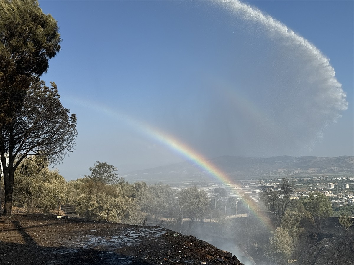 Aydın'da zeytinlik ve otluk alanda çıkan yangın, havadan ve karadan müdahaleyle kontrol altına...