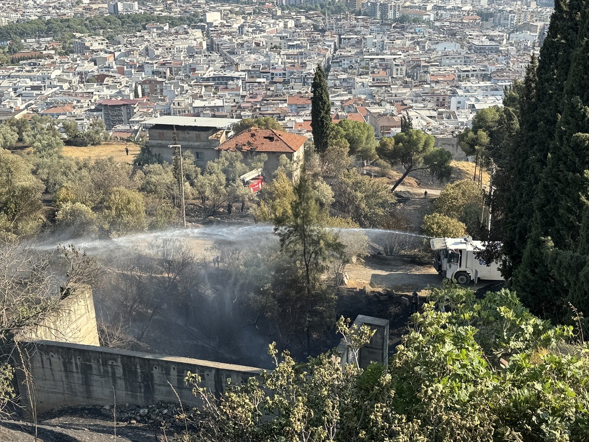 Aydın'da zeytinlik ve otluk alanda çıkan yangın, havadan ve karadan müdahaleyle kontrol altına...