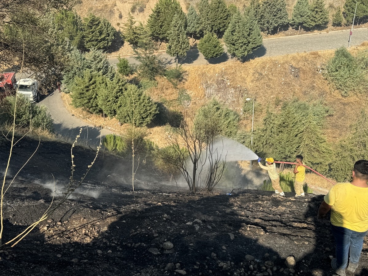 Aydın'da zeytinlik ve otluk alanda çıkan yangın, havadan ve karadan müdahaleyle kontrol altına...