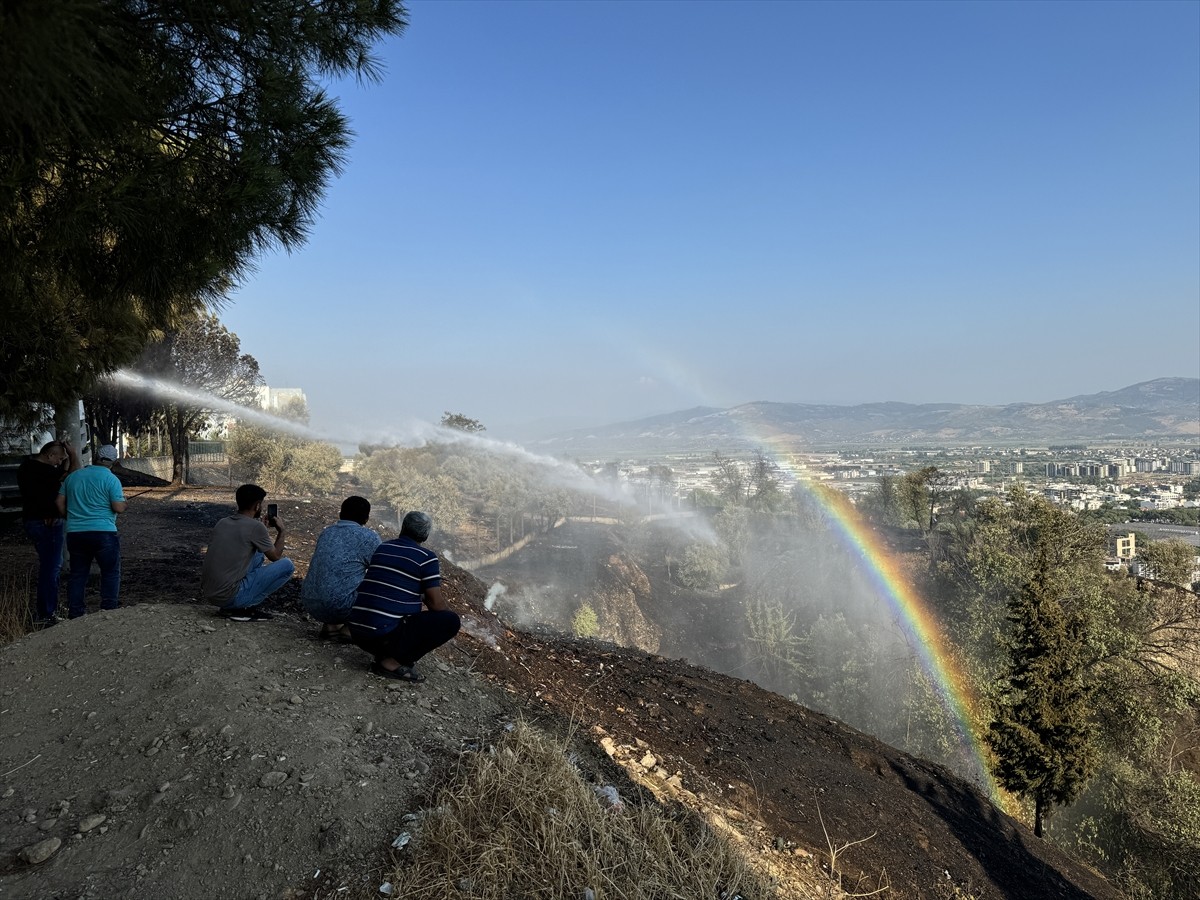Aydın'da zeytinlik ve otluk alanda çıkan yangın, havadan ve karadan müdahaleyle kontrol altına...