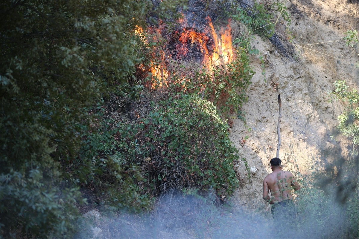 Aydın'ın Efeler ilçesinde, ormanlık ve zeytinlik alanda çıkan ve kontrol altına alınan yangın...