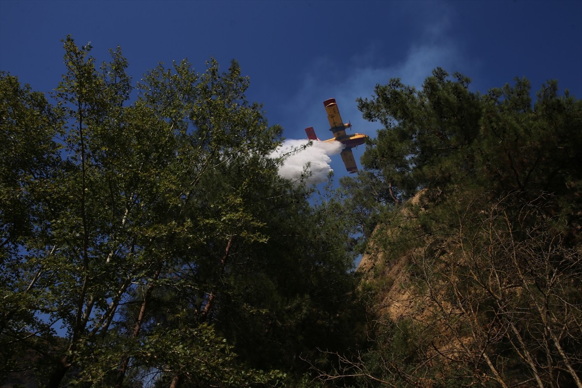 Aydın'ın Efeler ilçesinde, ormanlık ve zeytinlik alanda çıkan ve kontrol altına alınan yangın...