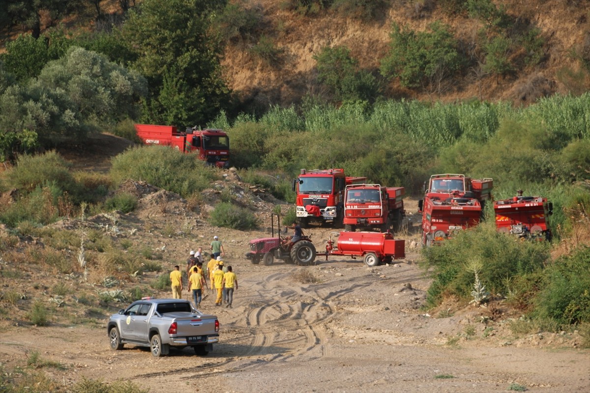 Aydın'ın Nazilli ilçesinde zeytinlik ve ormanlık alanda çıkan yangın kontrol altına...