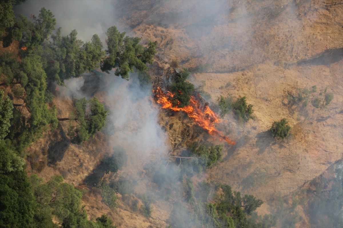 Aydın'ın Nazilli ilçesinde zeytinlik ve ormanlık alanda çıkan yangın kontrol altına...