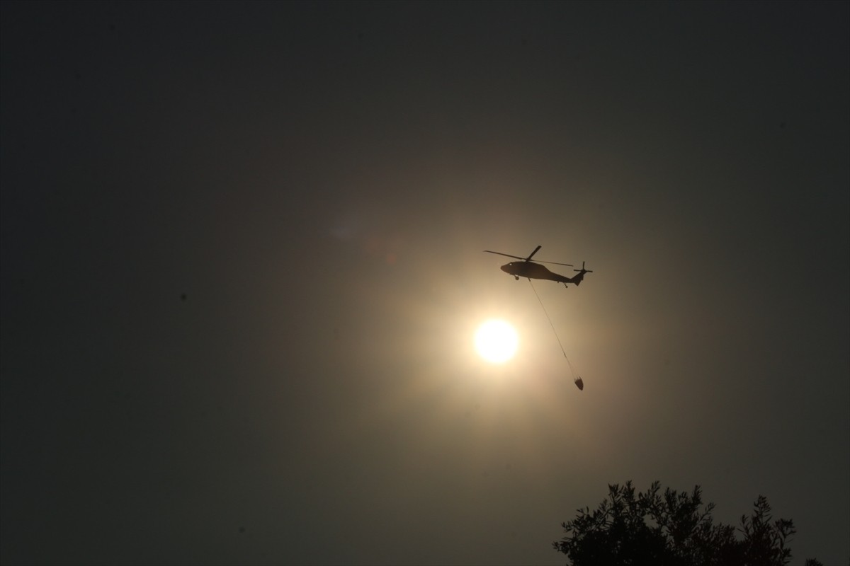 Aydın'ın Nazilli ilçesinde zeytinlik ve ormanlık alanda çıkan yangın kontrol altına...