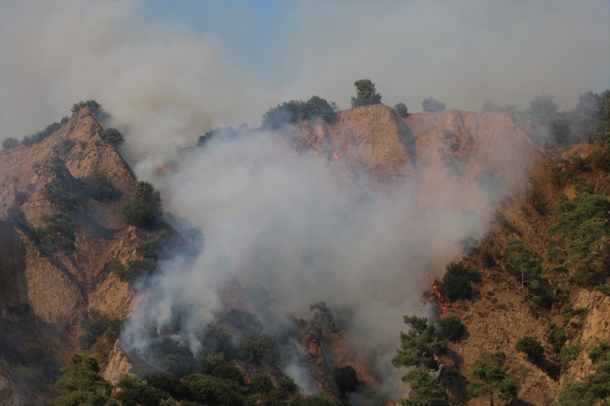 Aydın'ın Nazilli ilçesinde zeytinlik ve ormanlık alanda çıkan yangın kontrol altına...