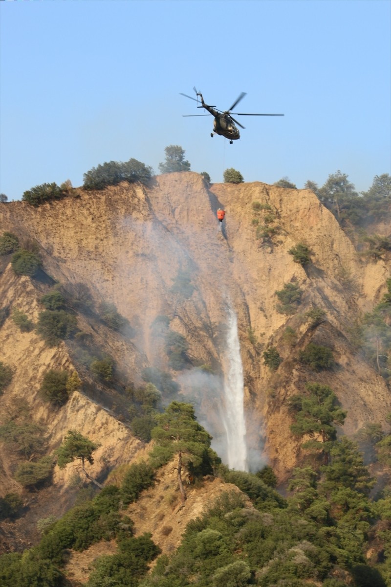Aydın'ın Nazilli ilçesinde zeytinlik ve ormanlık alanda çıkan yangın kontrol altına...