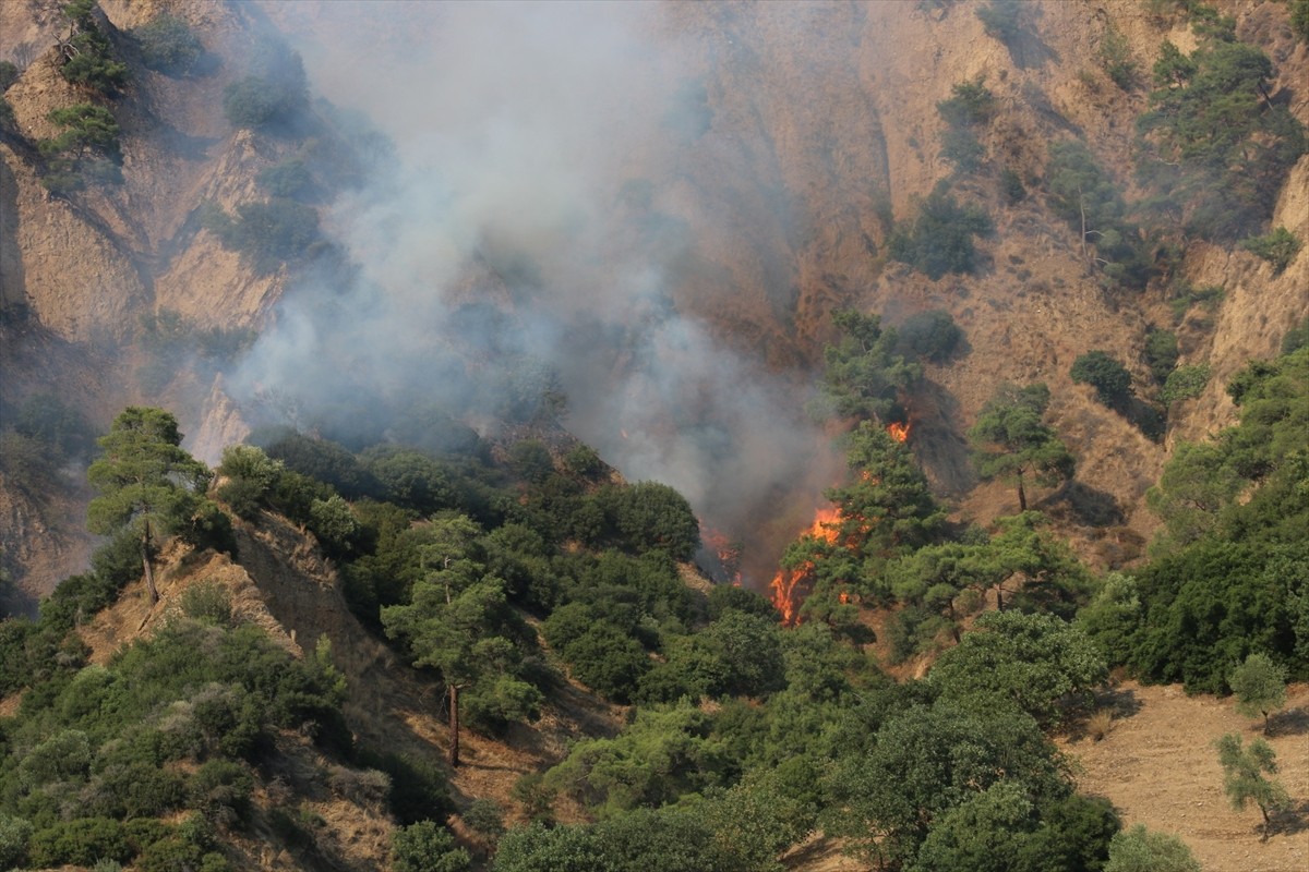Aydın'ın Nazilli ilçesinde zeytinlik ve ormanlık alanda çıkan yangın kontrol altına...