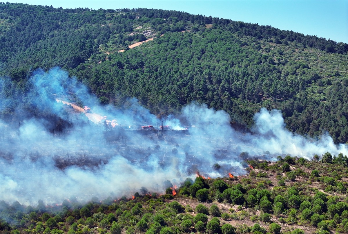Aydos Ormanı'nda henüz belirlenemeyen nedenle yangın çıktı. İhbar üzerine çok sayıda itfaiye...