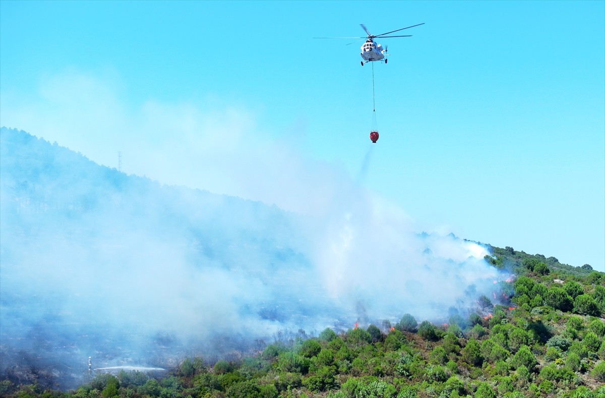 Aydos Ormanı'nda henüz belirlenemeyen nedenle yangın çıktı. İhbar üzerine çok sayıda itfaiye...