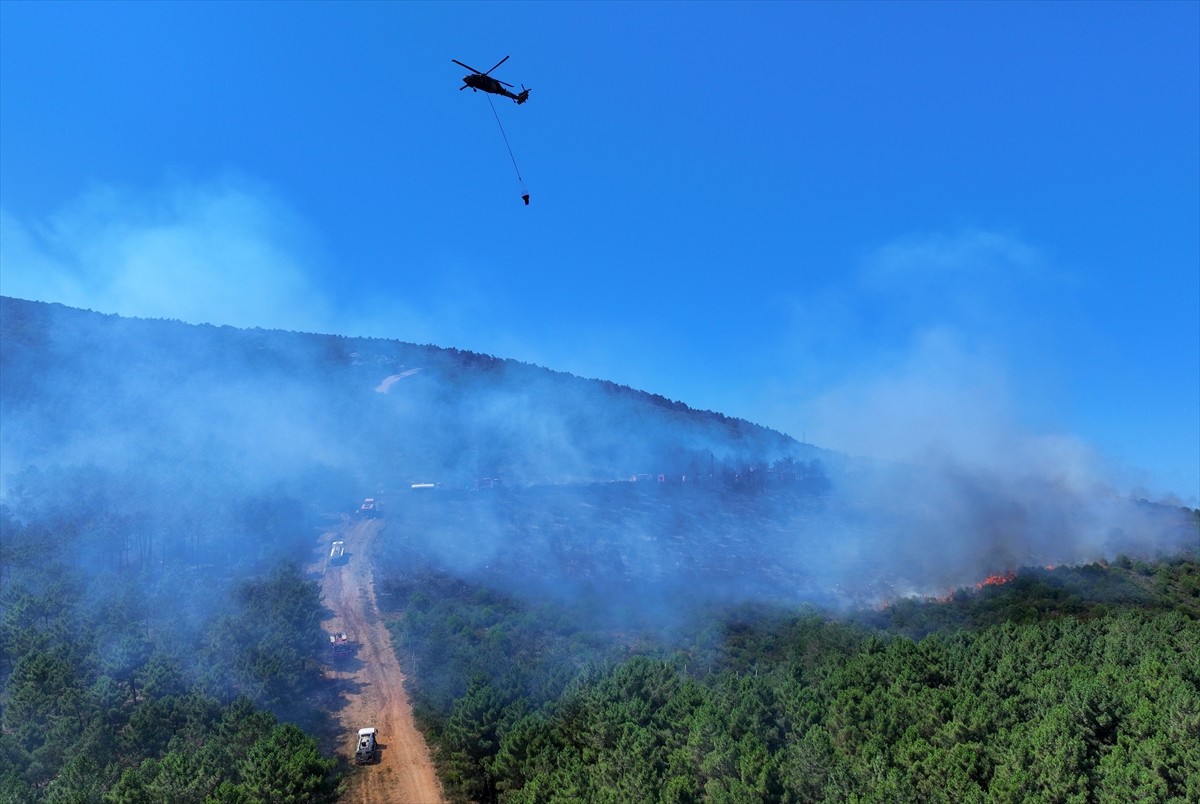 Aydos Ormanı'nda henüz belirlenemeyen nedenle yangın çıktı. İhbar üzerine çok sayıda itfaiye...