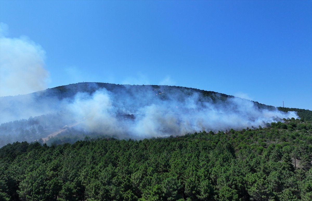 Aydos Ormanı'nda henüz belirlenemeyen nedenle yangın çıktı. İhbar üzerine çok sayıda itfaiye...
