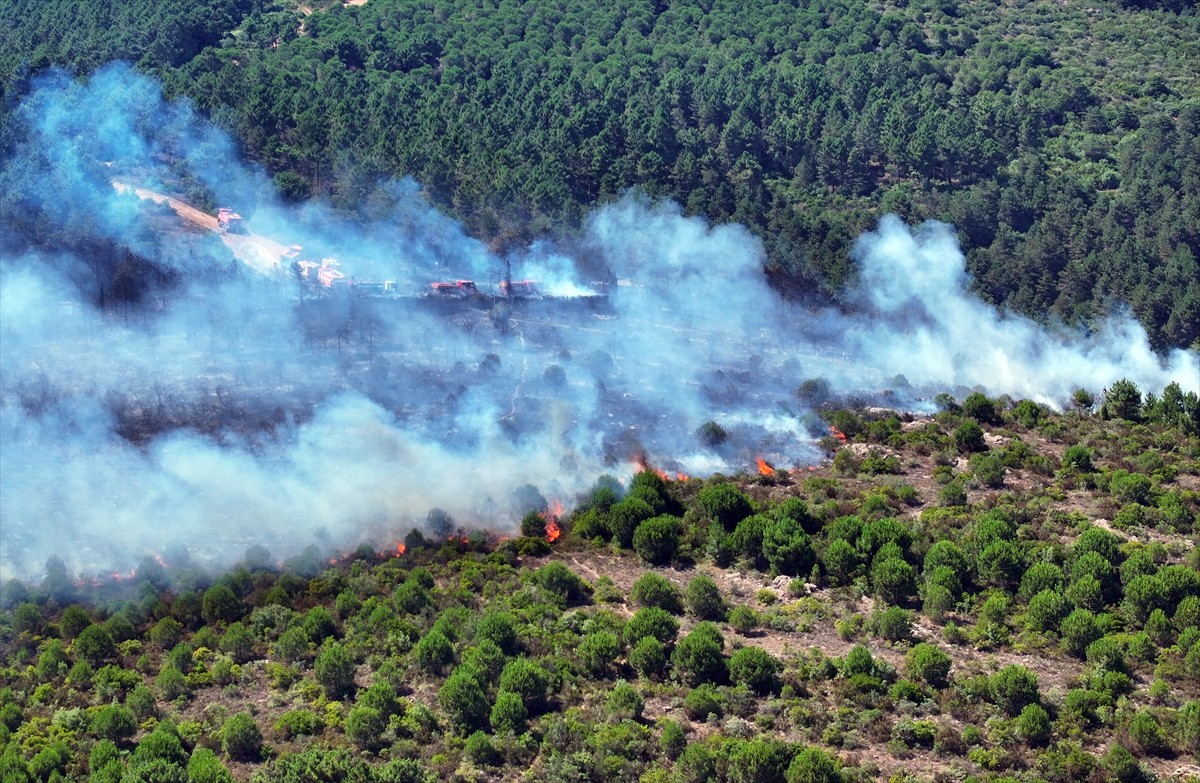 Aydos Ormanı'nda henüz belirlenemeyen nedenle yangın çıktı. İhbar üzerine çok sayıda itfaiye...