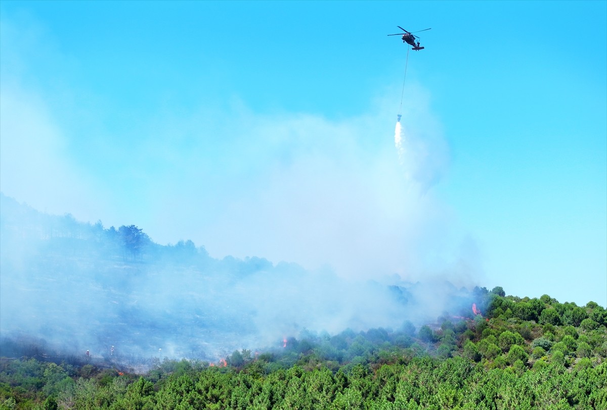 Aydos Ormanı'nda henüz belirlenemeyen nedenle yangın çıktı. İhbar üzerine çok sayıda itfaiye...