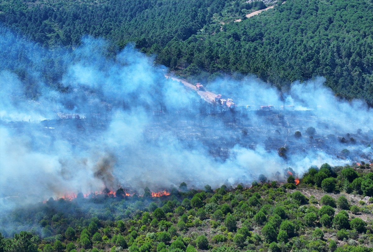 Aydos Ormanı'nda henüz belirlenemeyen nedenle yangın çıktı. İhbar üzerine çok sayıda itfaiye...
