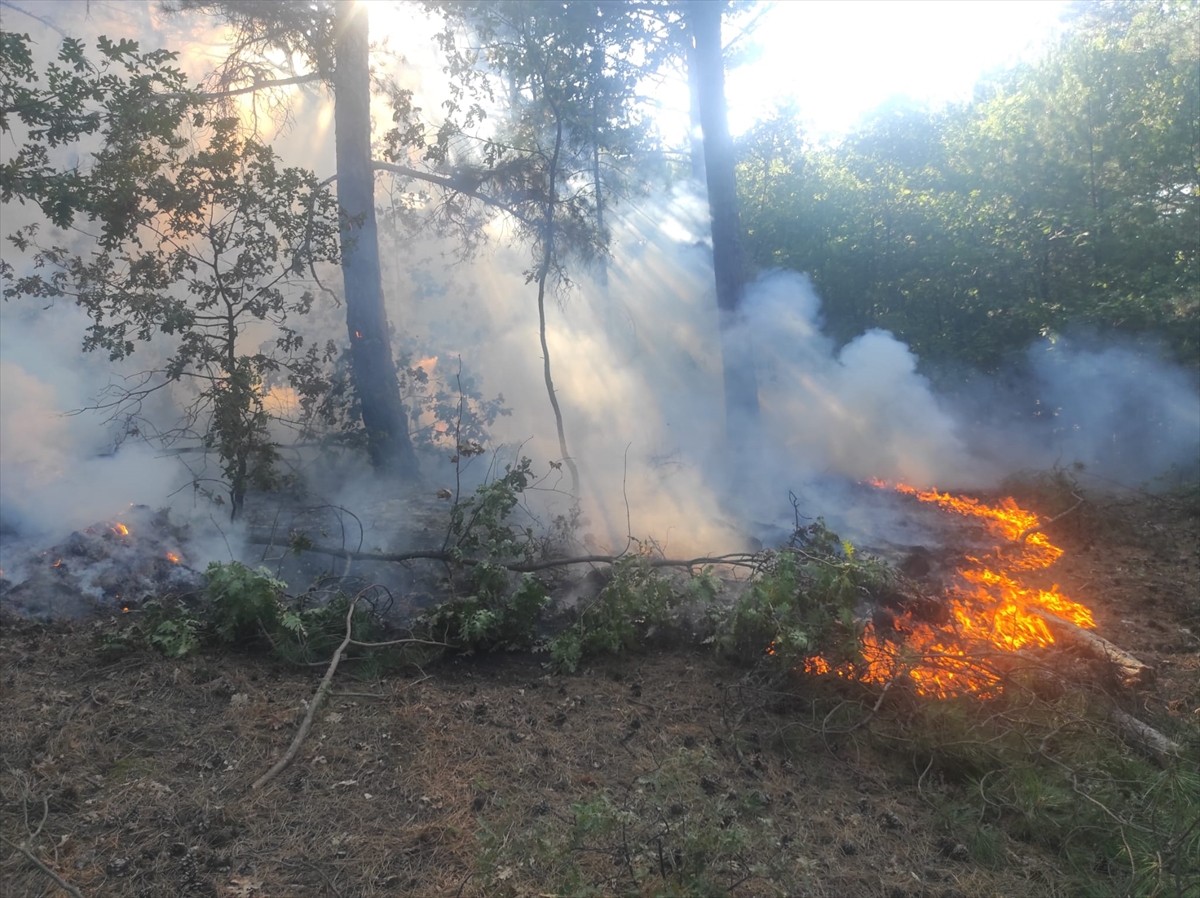 Balıkesir'in Havran ilçesinde ormanlık alanda çıkan yangının kontrol altına alınması için havadan...