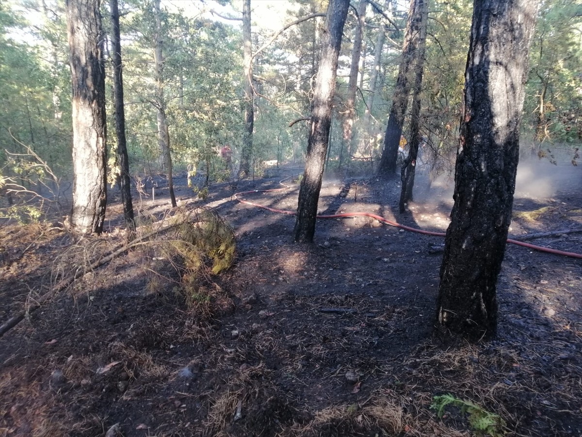 Balıkesir'in Havran ilçesinde ormanlık alanda çıkan yangının kontrol altına alınması için havadan...