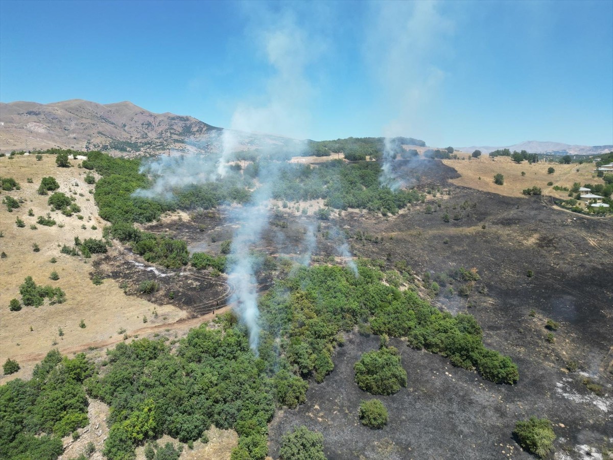 Bingöl'ün Genç ile Kiğı ilçelerinde çıkan orman yangınları söndürüldü.